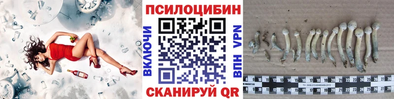 Галлюциногенные грибы прущие грибы  Купить  Гремячинск 
